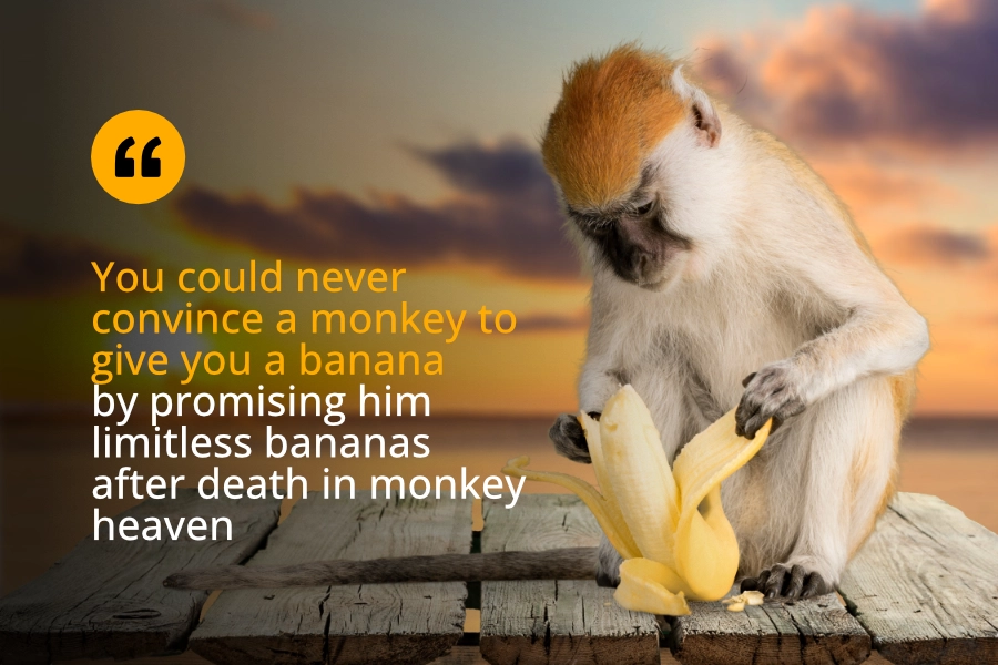 Verschil tussen mens en aap