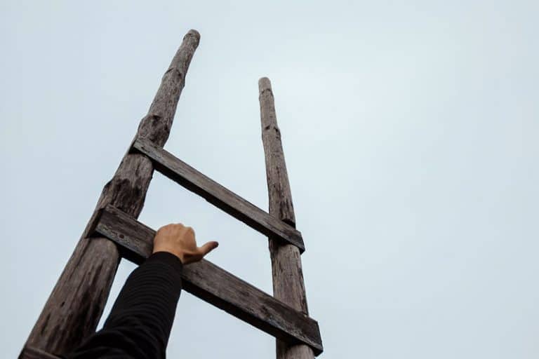 Leiderschap, Teamontwikkeling en Cultuurverandering - Jawel, voor ...