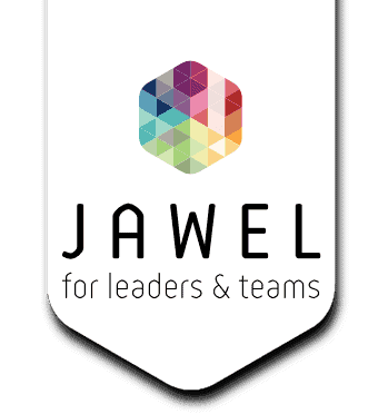Leiderschap, Teamontwikkeling en Cultuurverandering - Jawel, voor ...